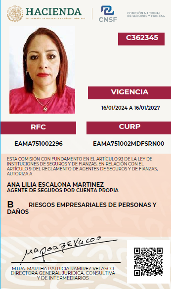 Captura de pantalla 2025-04-14 134259